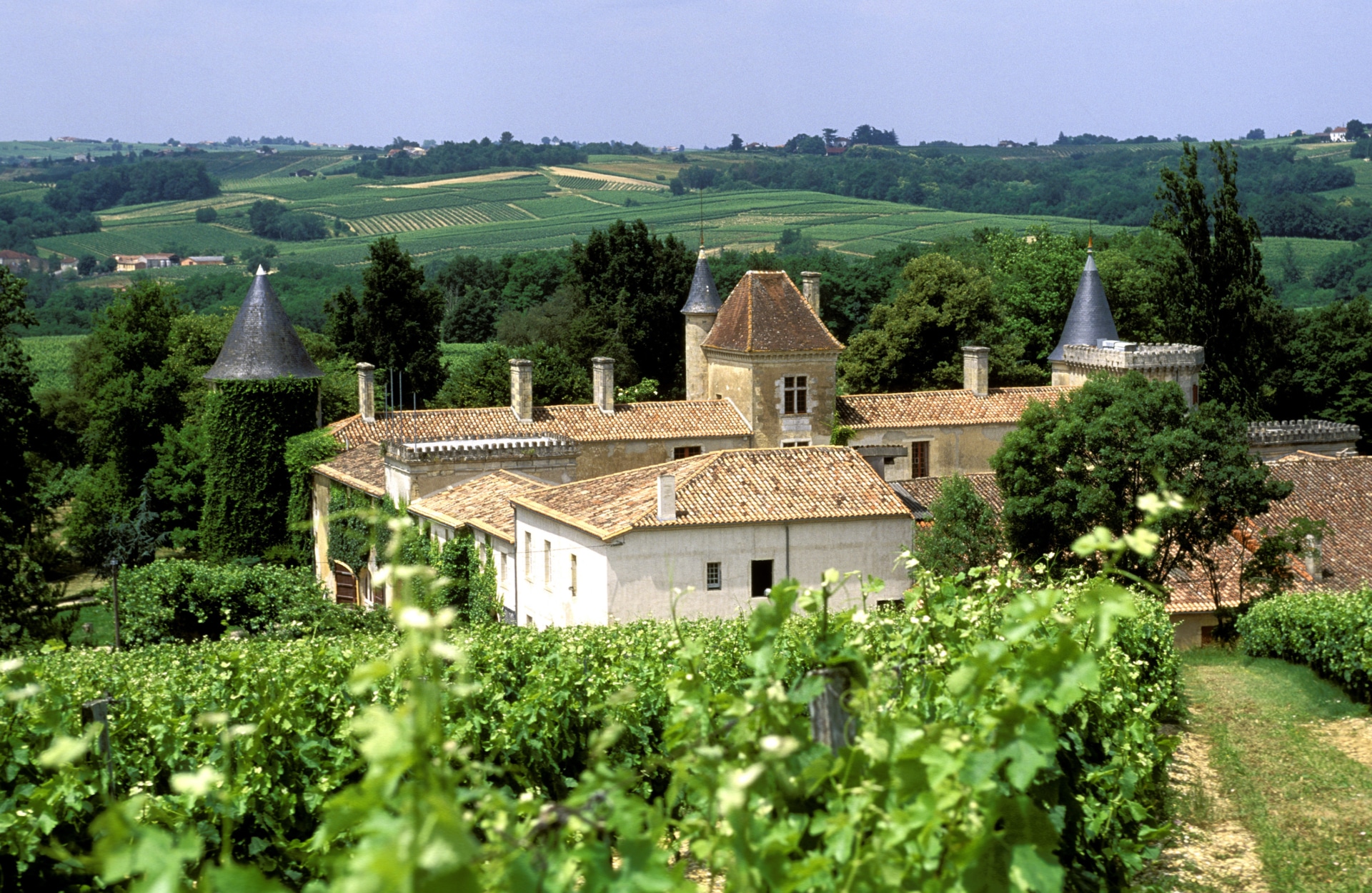 Bordeaux wines Clink Different, experience the wines of Europe