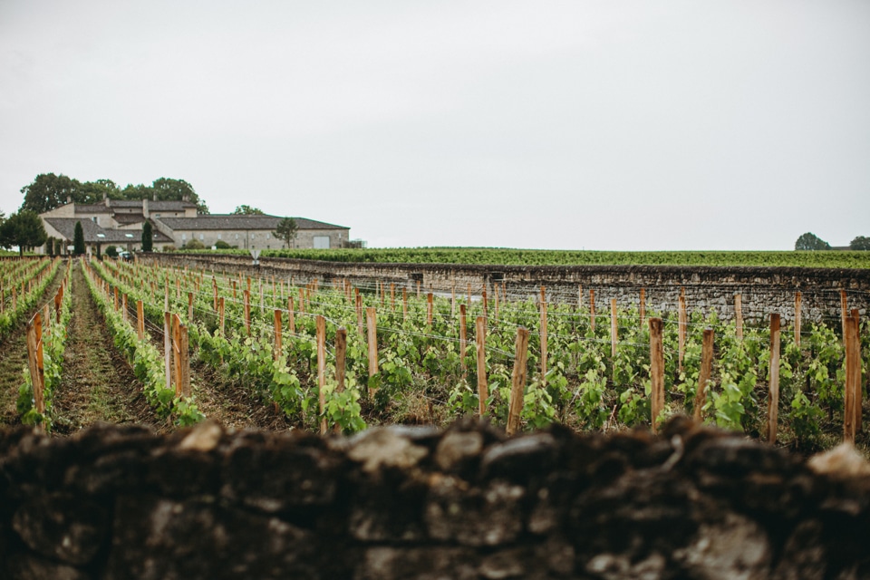 bordeaux landscape