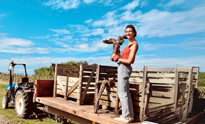 Behind the Vines: Meet Esther Hermouet 