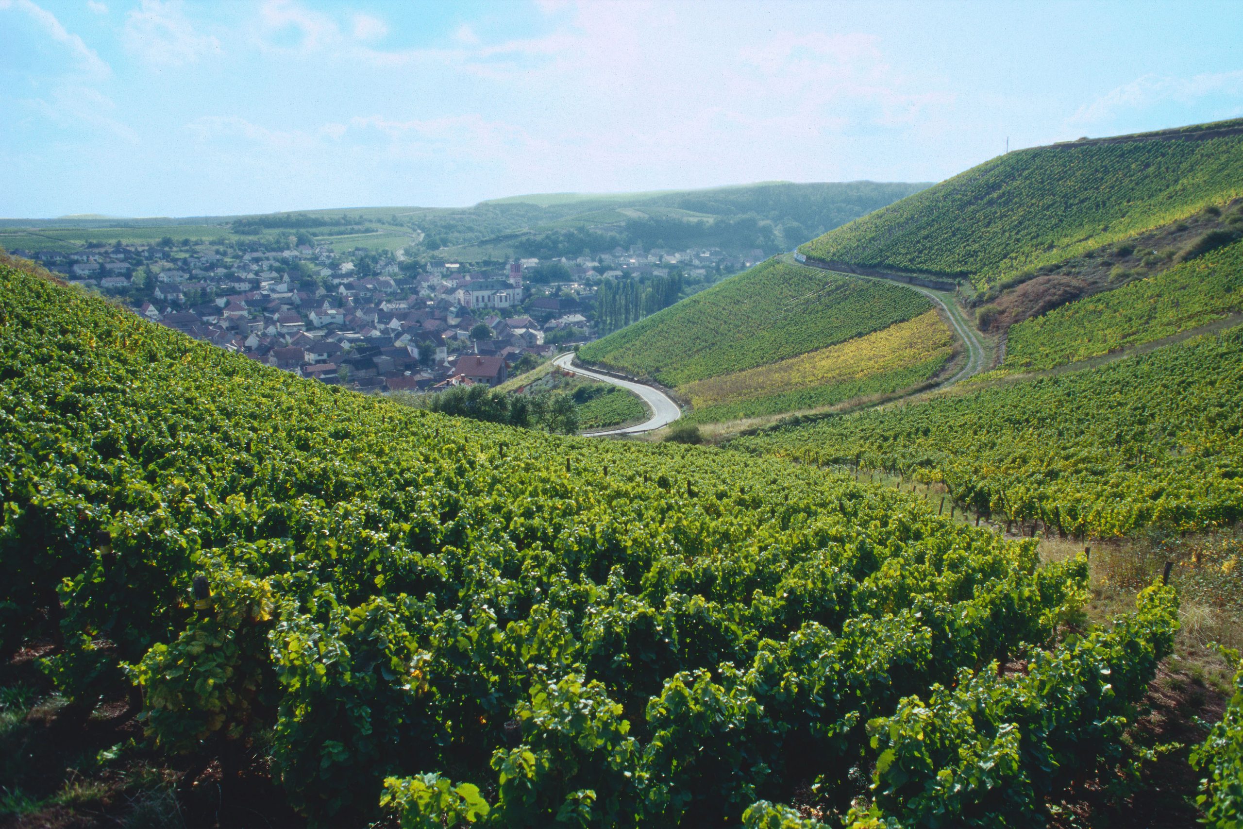 Under the Radar: Germany’s Nahe — Small but Mighty in the Glass 