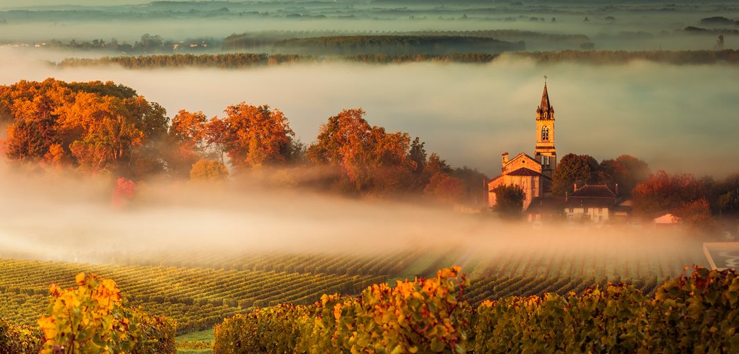 Under the Radar: Loupiac, Bordeaux’s Golden Haven Across the Garonne  