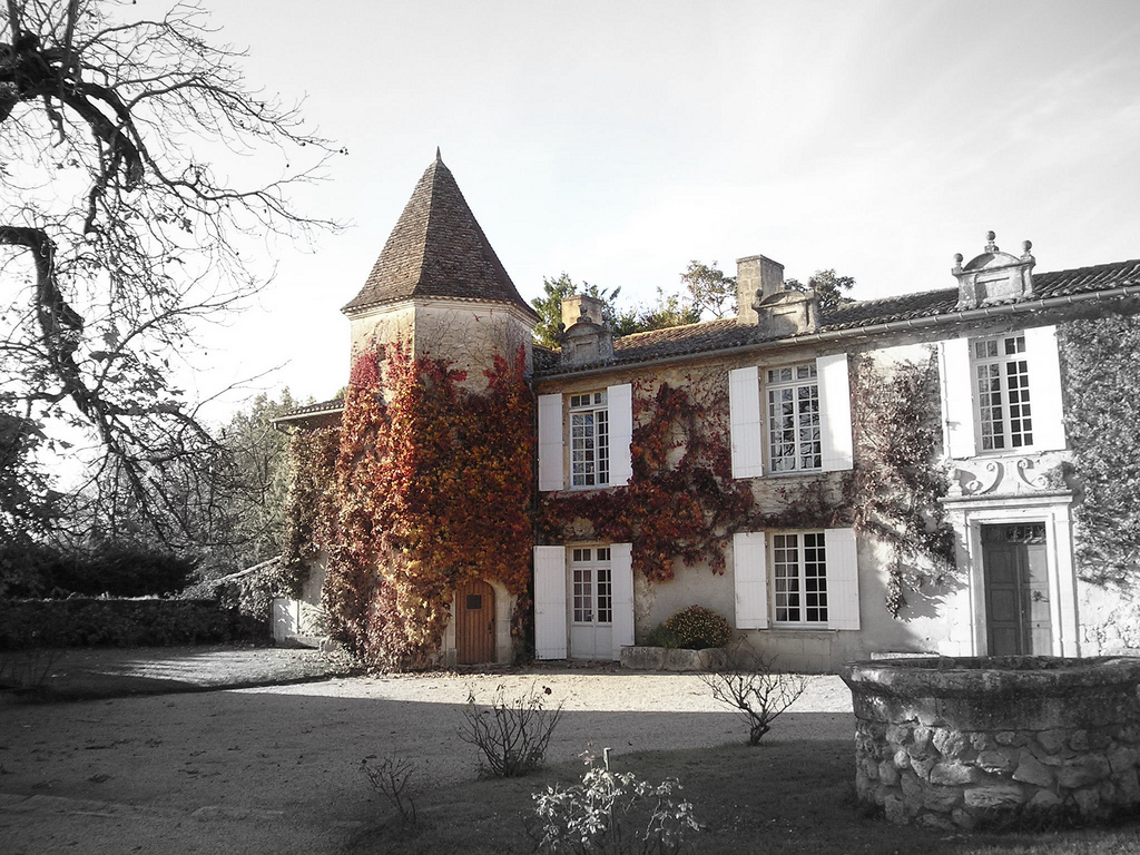 Behind the Vines: Meet Pauline Lurton