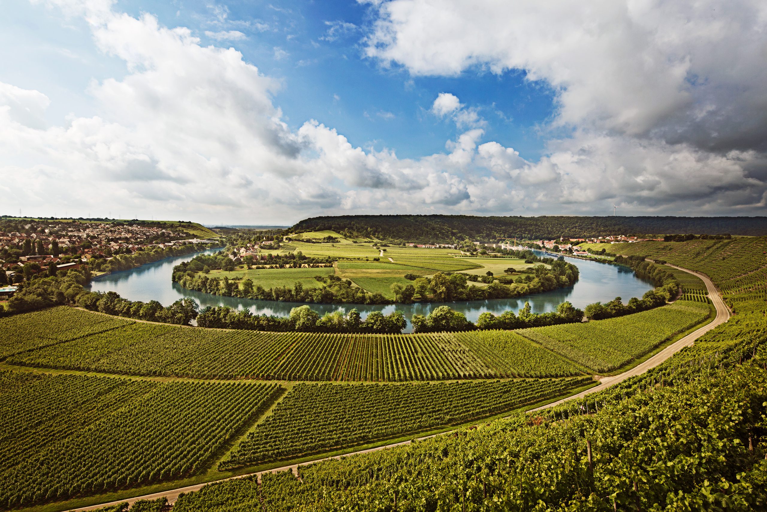  Under the Radar: Wurttemberg, Germany’s Red Wine Wonderland
